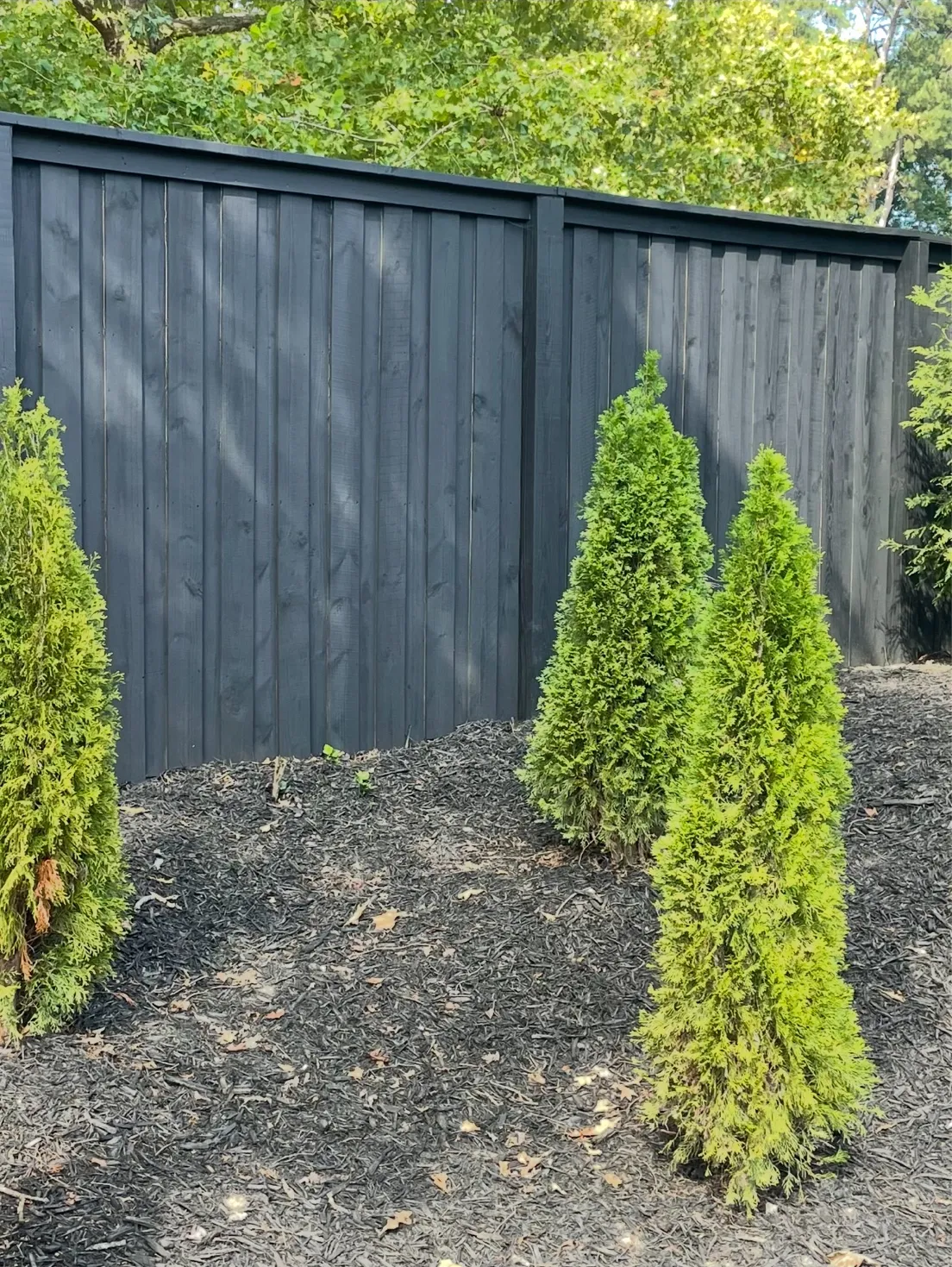 Six-foot capped board-on-board privacy fence painted modern black in downtown Alpharetta